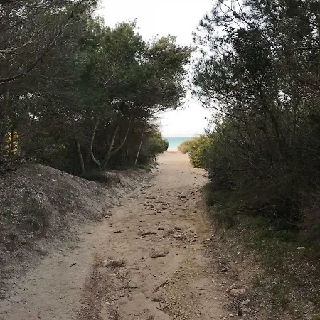 Appartamento Attico In Riva Al Mare *